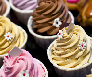 leckere Cupcakes zum Geburtstag