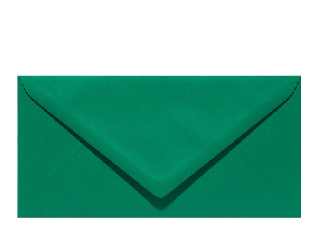 Umschlag im Format DL (220 x 110 mm), dark green