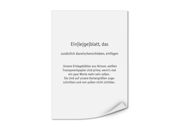 Bedruckte Einlegeblätter DIN A5 (Transparentpapier)