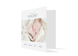 Danksagung zur Geburt "Valentina/Vincent"