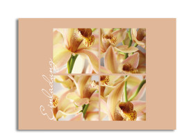 Einladung Orchideen (Postkarte) Beige