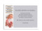 Geburtskarte (Postkarte), Motiv: Lucia/Luca, Rückseite, Farbversion: grau